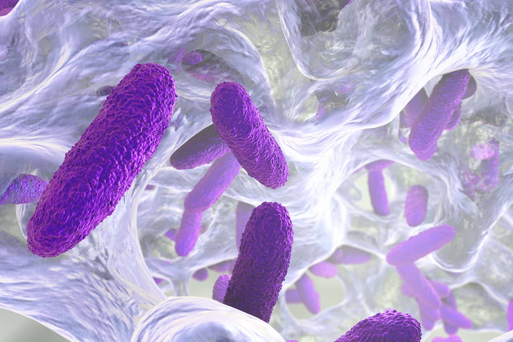 Léteznek az egészségünkhöz nélkülözhetetlen mikrobák is